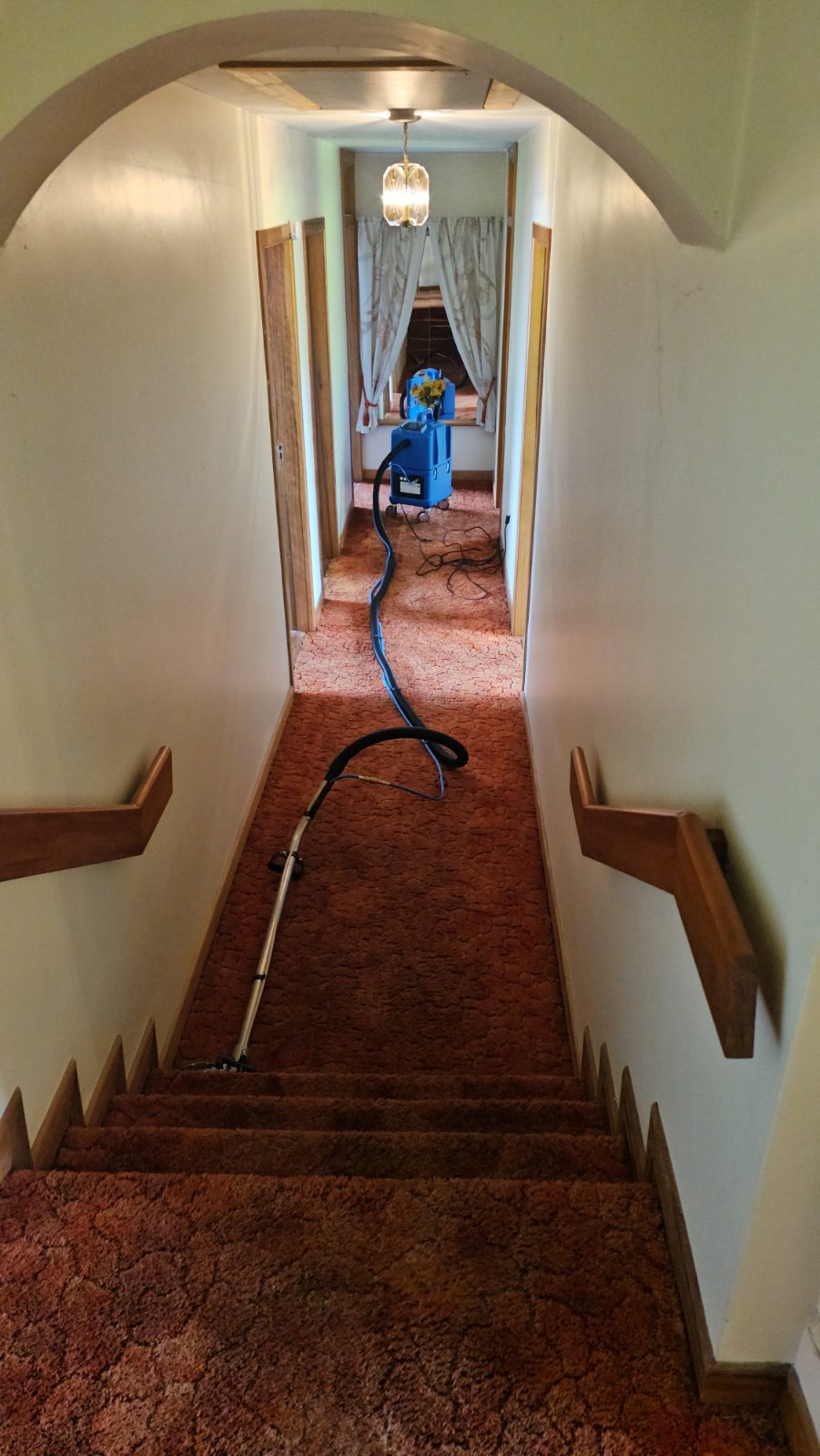 Upholstery & Carpet Cleaning