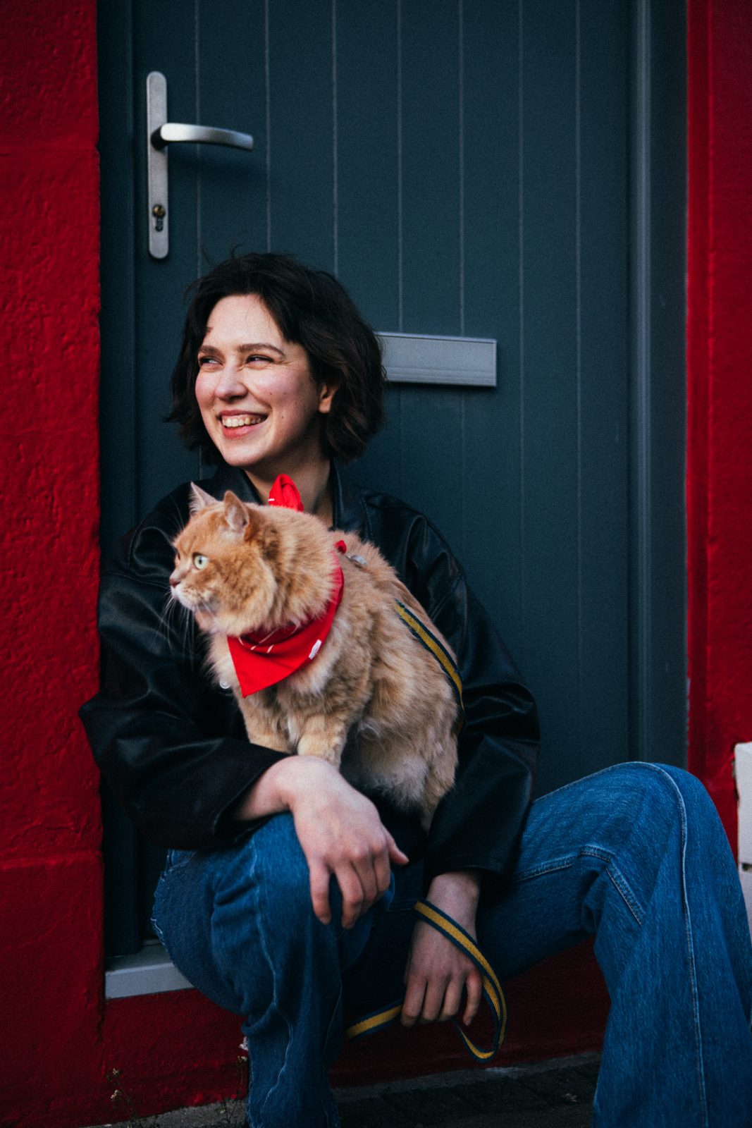 walking dogs, pet care while the owners are away